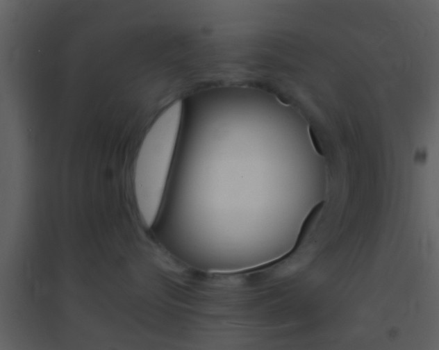 X0000095530576200712140937