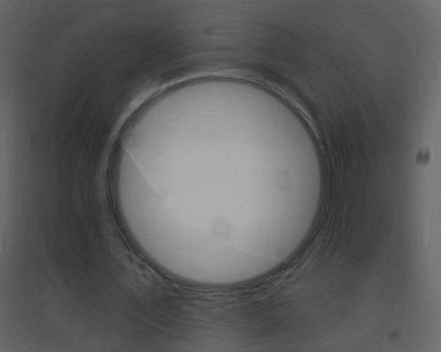 X0000095530579200712140936