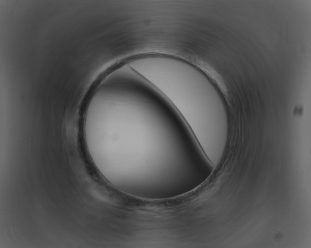 X0000095530580200712140936