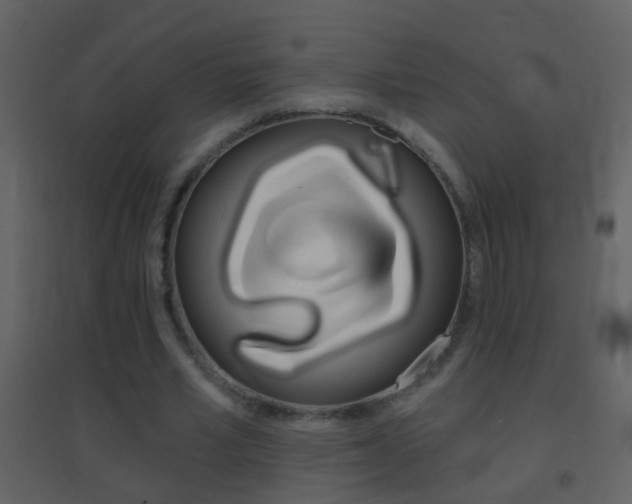 X0000095530581200712140936