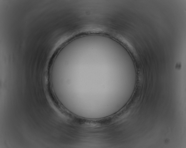 X0000095530582200712140936