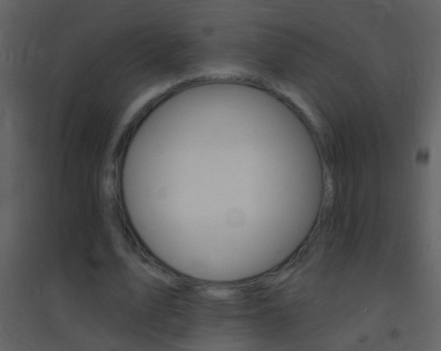 X0000095530583200712140936