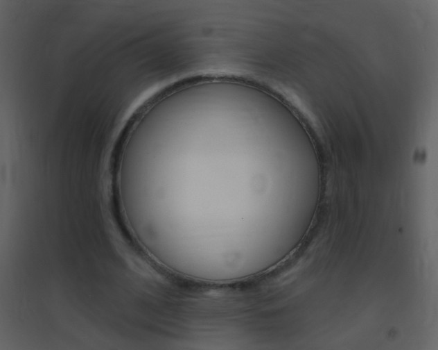 X0000095530584200712140936