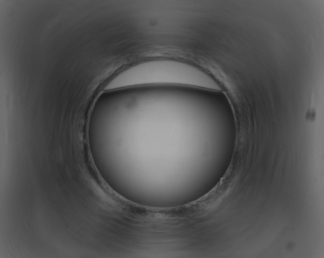 X0000095530585200712140936