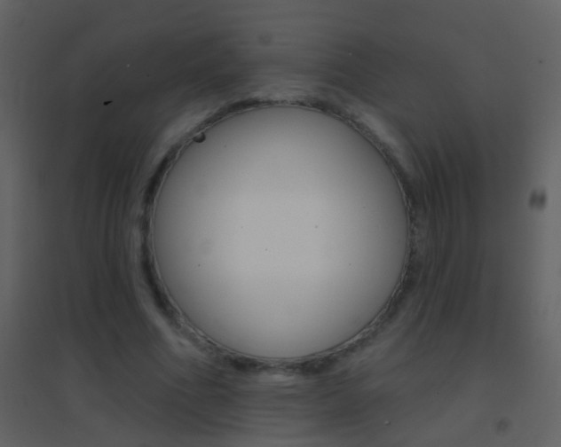 X0000095530586200712140936