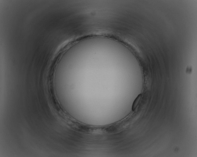 X0000095530587200712140936