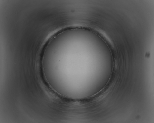 X0000095530588200712140936