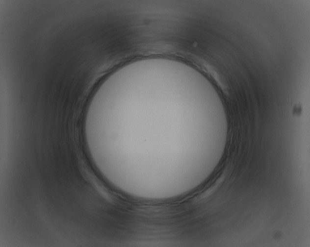 X0000095530589200712140936