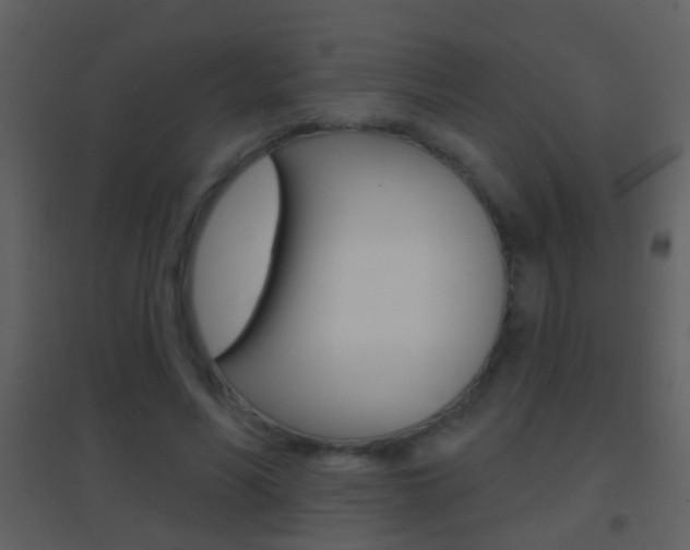 X0000095530590200712140936