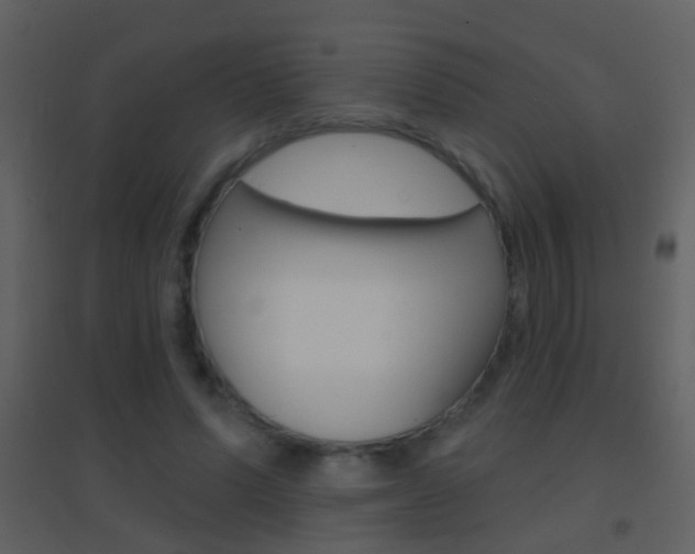 X0000095530591200712140936