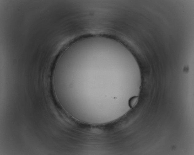 X0000095530592200712140936