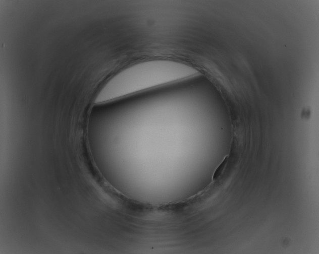 X0000095530593200712140936