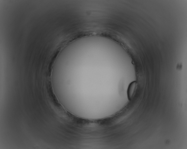 X0000095530594200712140936