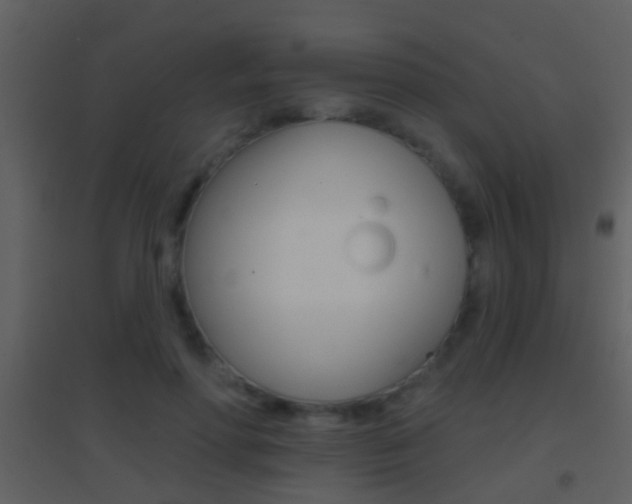 X0000095530598200712140936