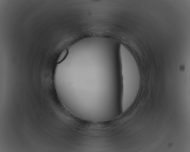 X0000095530599200712140936