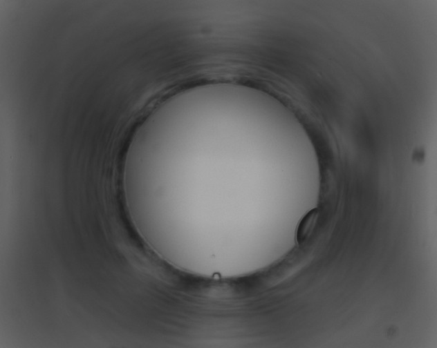 X0000095530600200712140936