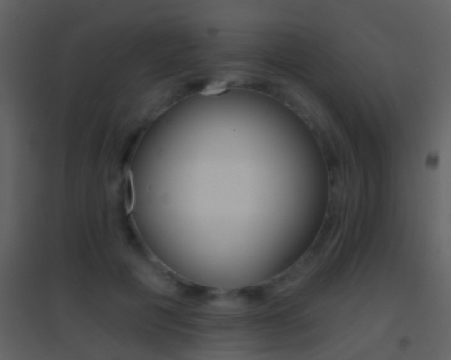X0000095530601200712140936