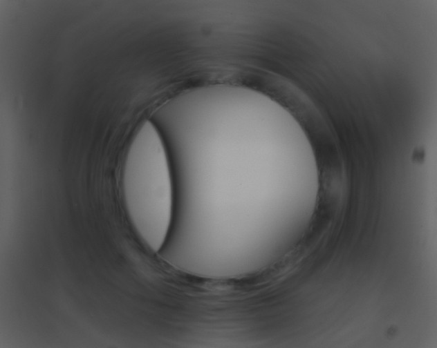 X0000095530602200712140936