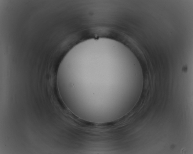 X0000095530604200712140936