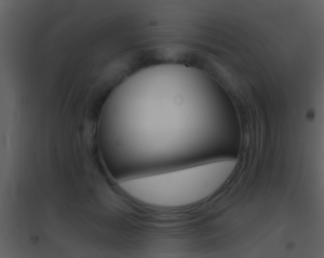 X0000095530605200712140936