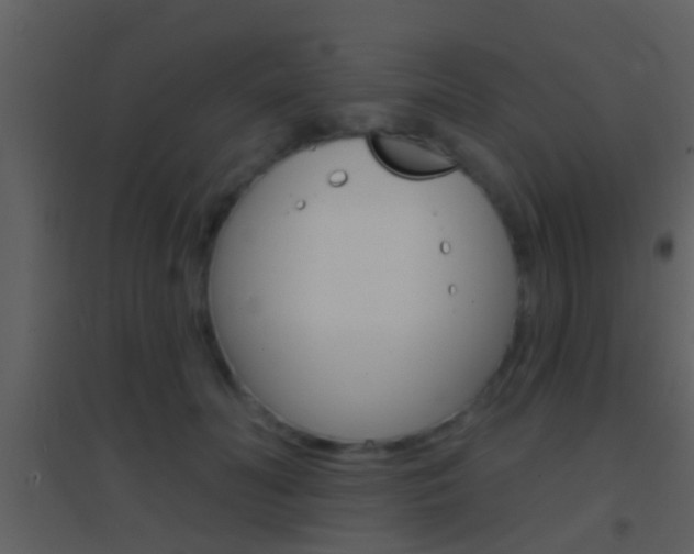 X0000095530606200712140936