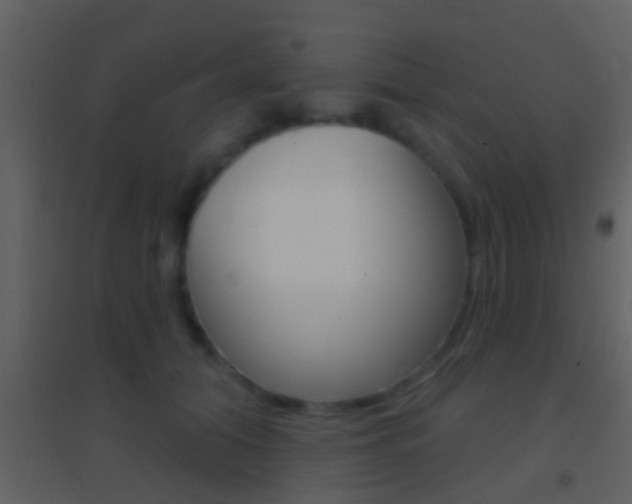 X0000095530608200712140936