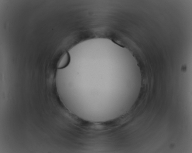 X0000095530610200712140936