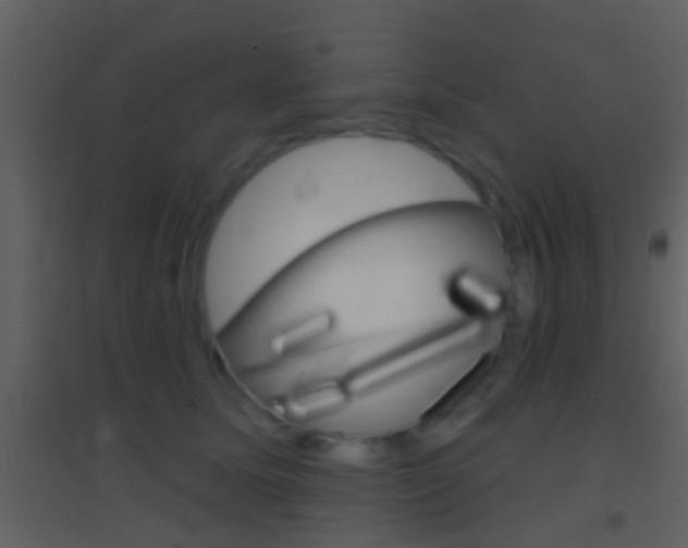 X0000095530611200712140936