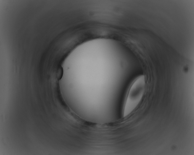 X0000095530612200712140936