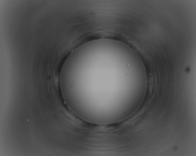 X0000095530613200712140936