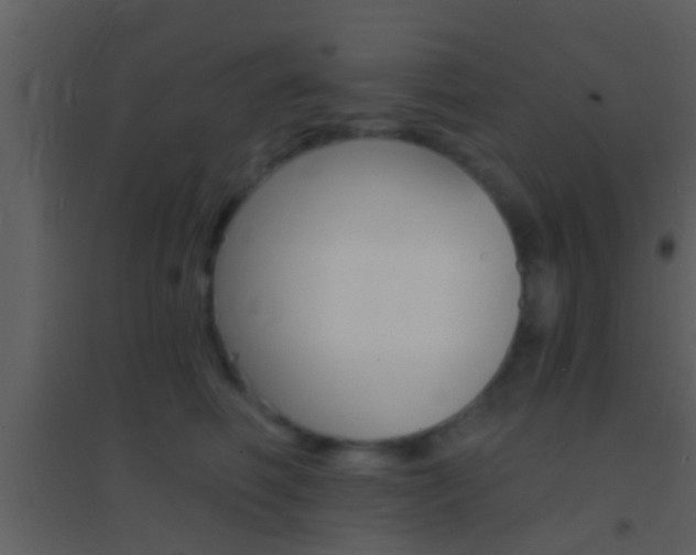 X0000095530614200712140936