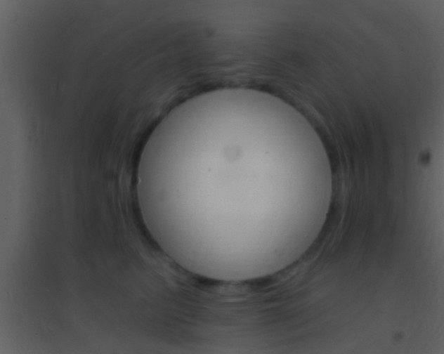 X0000095530615200712140936