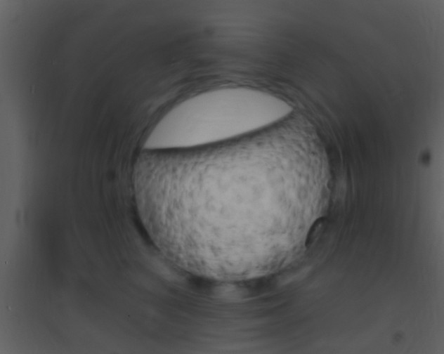 X0000095530616200712140936