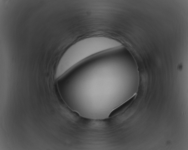 X0000095530617200712140936