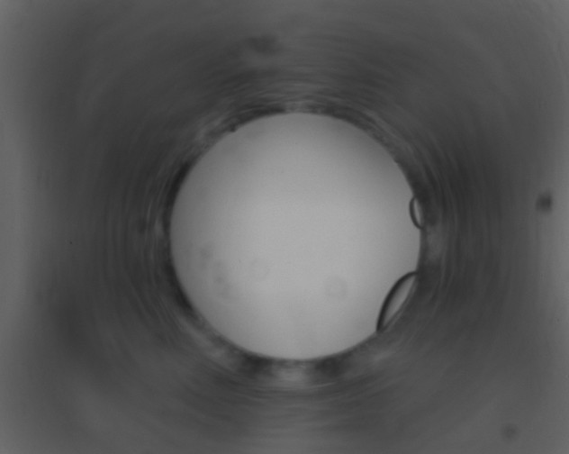 X0000095530618200712140936