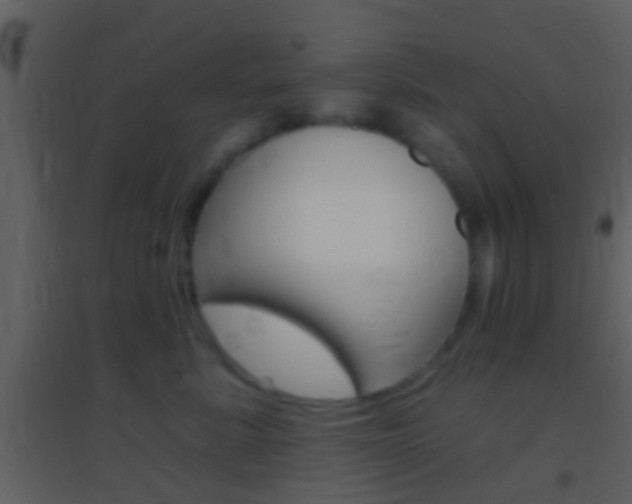 X0000095530619200712140936