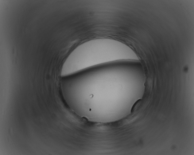 X0000095530620200712140936