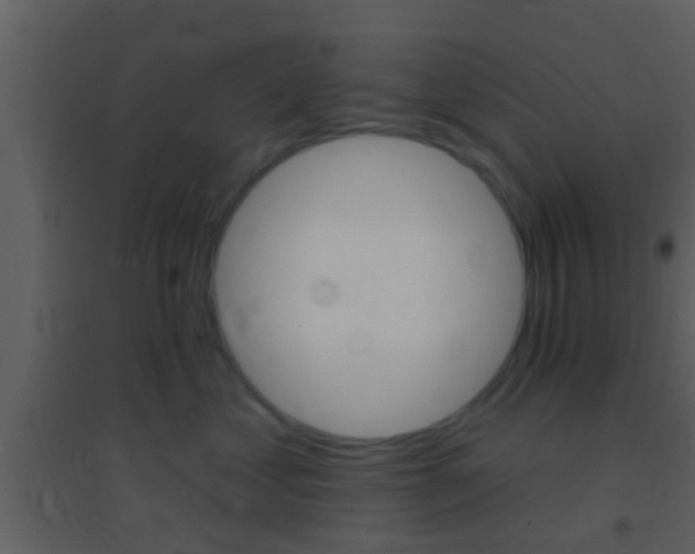 X0000095530621200712140935