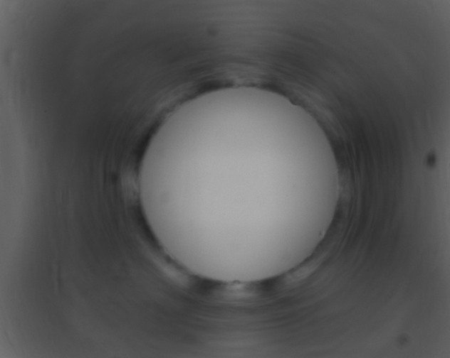 X0000095530622200712140935