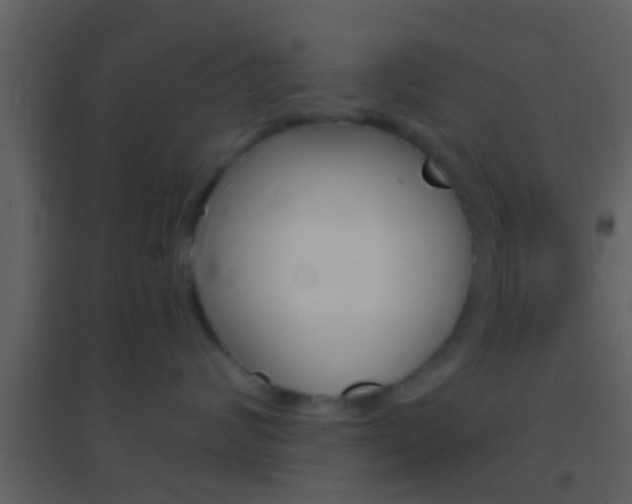 X0000095530624200712140935