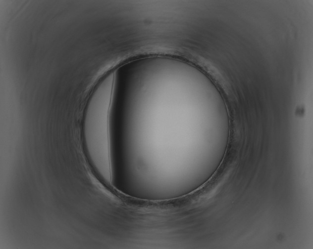 X0000095530625200712140935