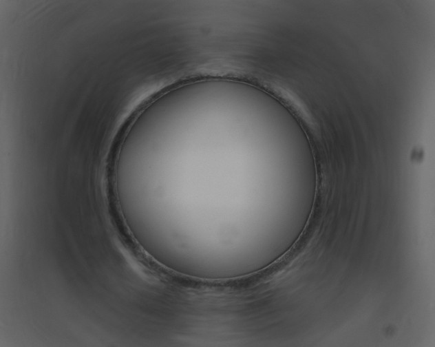 X0000095530626200712140935
