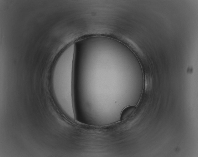 X0000095530627200712140935