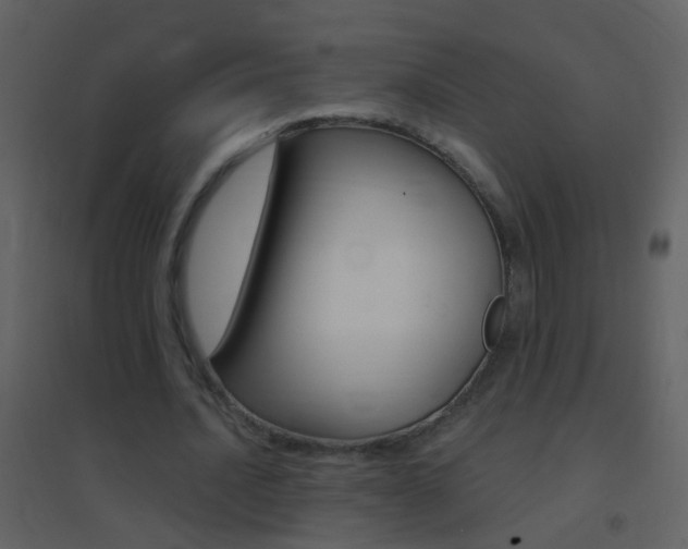 X0000095530628200712140935