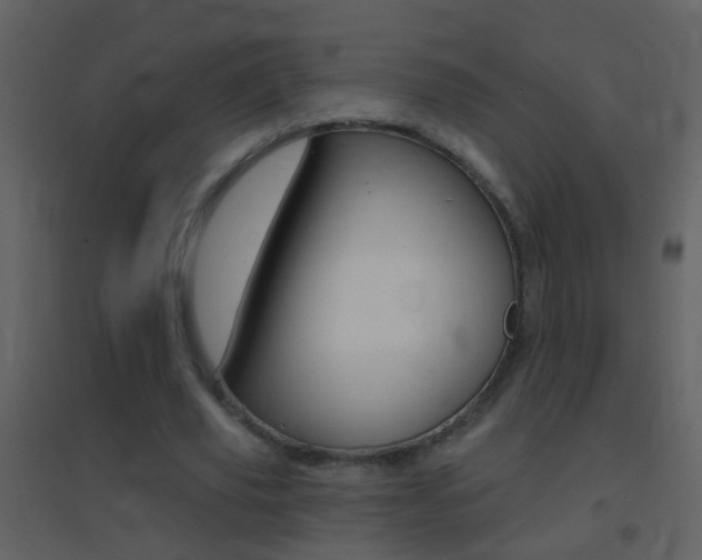 X0000095530629200712140935