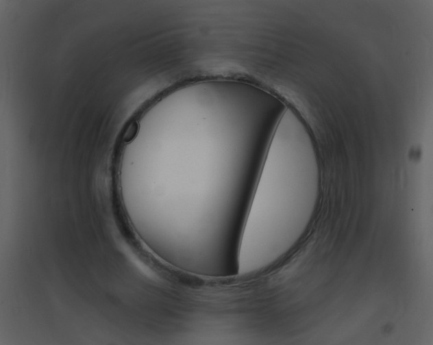 X0000095530630200712140935