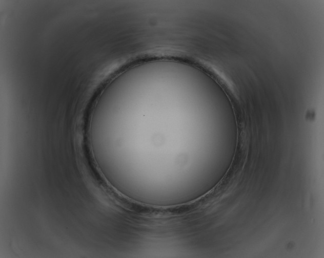 X0000095530631200712140935