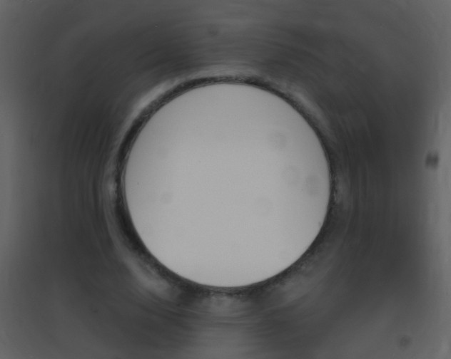 X0000095530632200712140935
