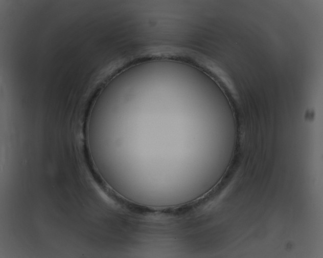 X0000095530633200712140935