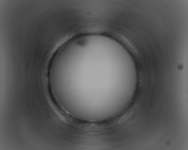 X0000095530634200712140935